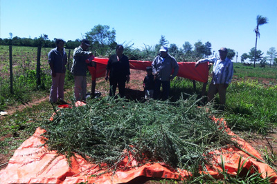 countryside-336686_1280